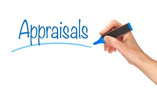 Evaluating Business Ideas and Understanding Market